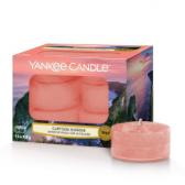 Yankee Candle Cliffside Sunrise Teljus/Värmeljus 