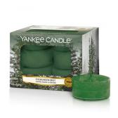 Yankee Candle Evergreen Mist Teljus/Värmeljus 