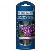 Yankee Candle Wild Orchid Scent Plug Refill 
