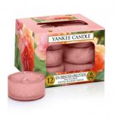 Yankee Candle Sun-drenched Apricot Rose Teljus/Värmeljus 