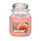 Yankee Candle Sun-drenched Apricot Rose Doftljus Medium 