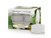 Yankee Candle Camellia Blossom Teljus/Värmeljus 