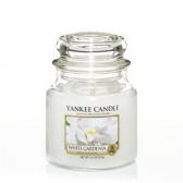 Yankee Candle White Gardenia Mellan burk 