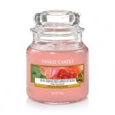 Yankee Candle Sun-drenched Apricot Rose Doftljus Small 