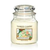 Yankee Candle Christmas Cookie Mellan burk 