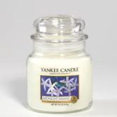 Yankee Candle Midnight Jasmine Stor burk 