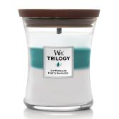 WoodWick Icy Woodland Trilogy Doftljus Medium 