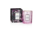 Voluspa Japanese Plum Bloom Boxed Scalloped Candlepot 