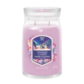 Yankee Candle Summit Stargazing Signature Large Jar 