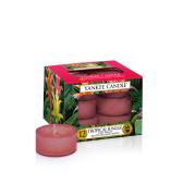 Yankee Candle Tropical Jungle Teljus/Värmeljus 