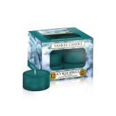 Yankee Candle Icy Blue Spruce Teljus/Värmeljus 