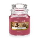 Yankee Candle Glittering Star Doftljus Small 