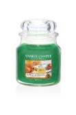 Yankee Candle Alfresco Afternoon Doftljus Medium 