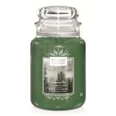 Yankee Candle Evergreen Mist Doftljus Large 