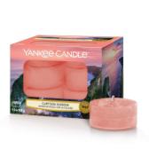 Yankee Candle Cliffside Sunrise Teljus/Värmeljus 