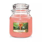 Yankee Candle The Last Paradise Doftljus Medium 