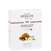 Maison Berger Oriental Star Bildoft Refill 