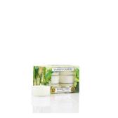 Yankee Candle Linden Tree Teljus/Värmeljus 