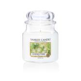 Yankee Candle Linden Tree Doftljus Medium 
