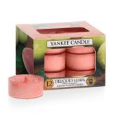 Yankee Candle Delicious Guava Teljus/Värmeljus 