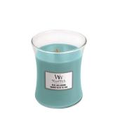 WoodWick Blue Java Banana Doftljus Medium 