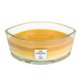 WoodWick Fruits of Summer Trilogy Doftljus Ellipse 