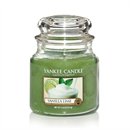 Yankee Candle Vanilla Lime Mellan burk 